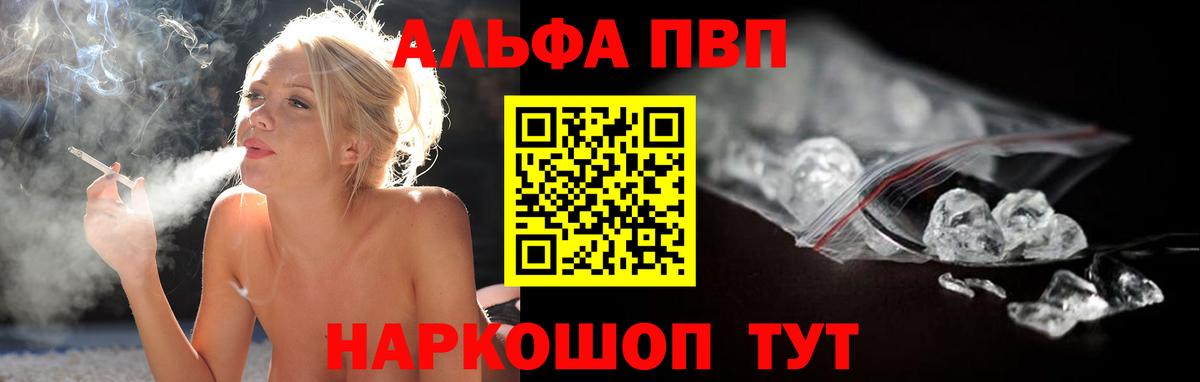 A PVP СК КРИС Новочеркасск
