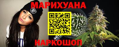 индика Заводоуковск