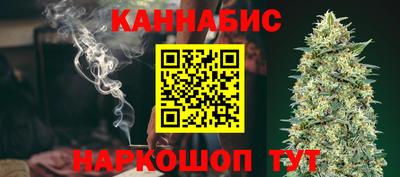 индика Заводоуковск