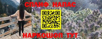 индика Заводоуковск