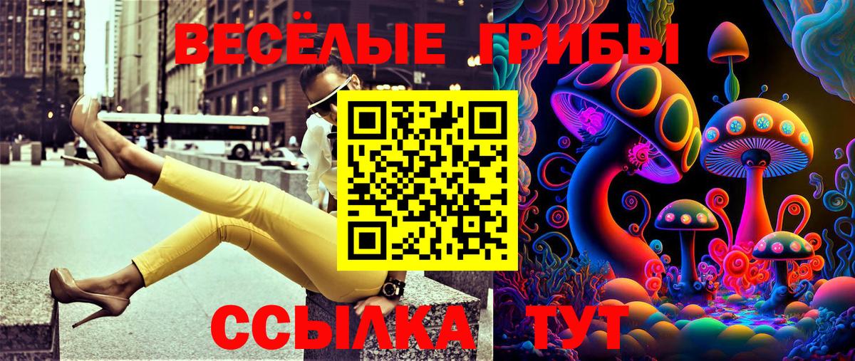 Новочеркасск  Галлюциногенные грибы Psilocybine cubensis  Галлюциногенные грибы мицелий  Вход с VPN 